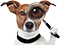 Perro Buscador
