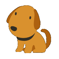 Perro