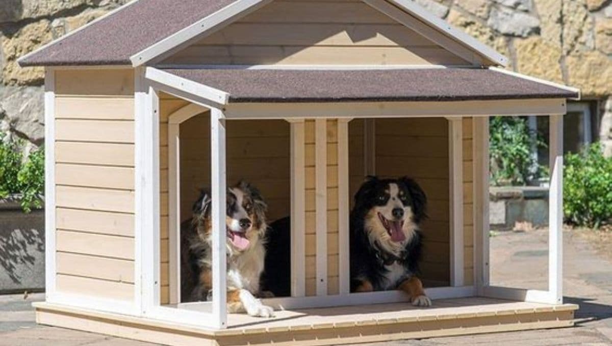 6 ideas de casitas preciosas para perros