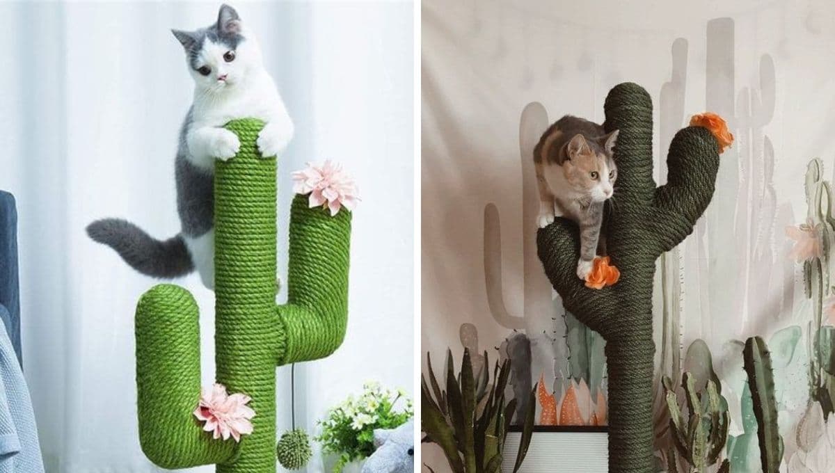 4 ideas de mueble rascador para gatos; bonitos, prácticos y ecológicos
