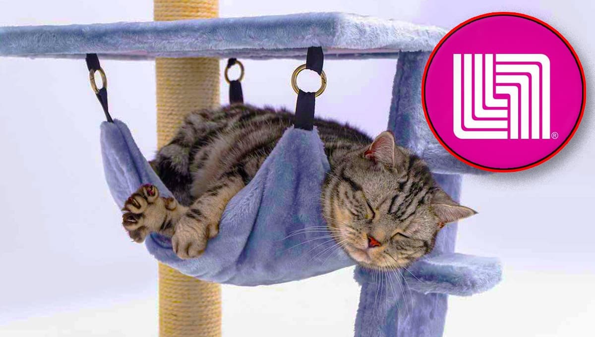 Rebajas: Liverpool pone mueble rascador para gato a menos de la mitad de su precio