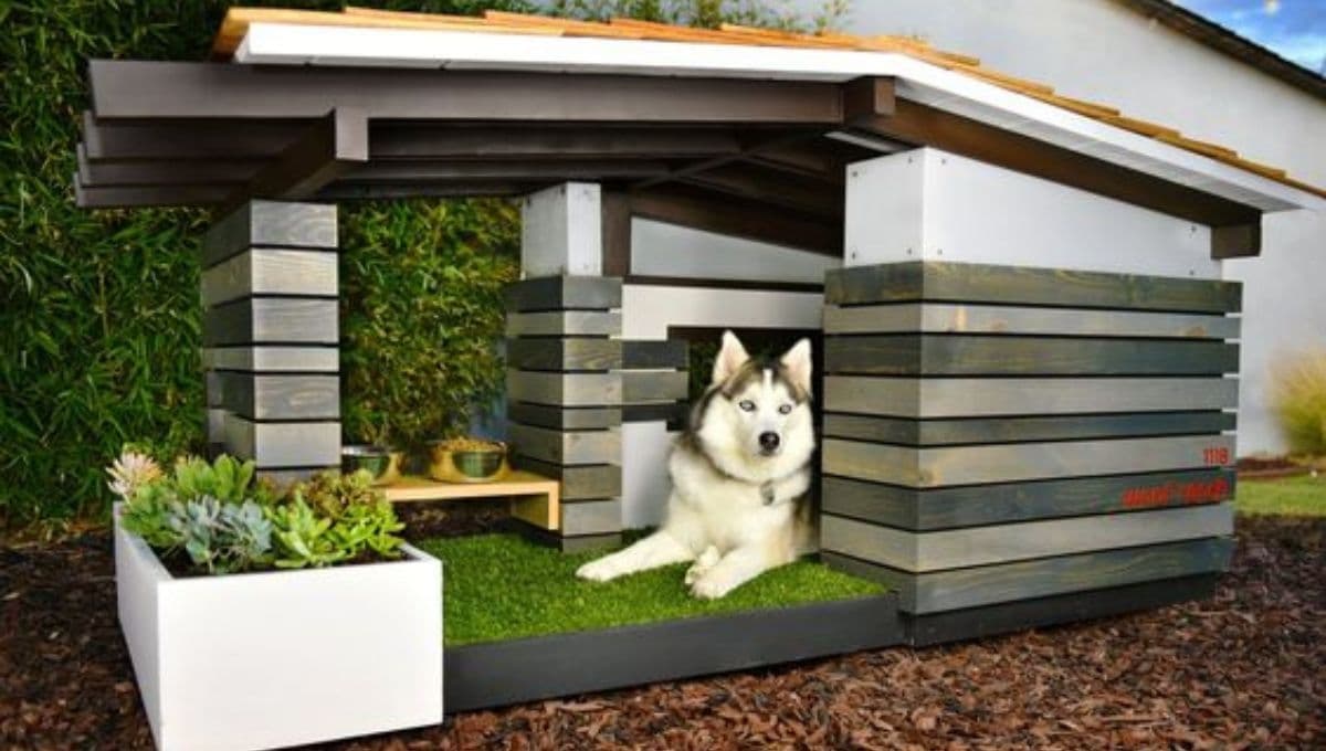 5 ideas de decoración para casas de perros sencillas pero bonitas