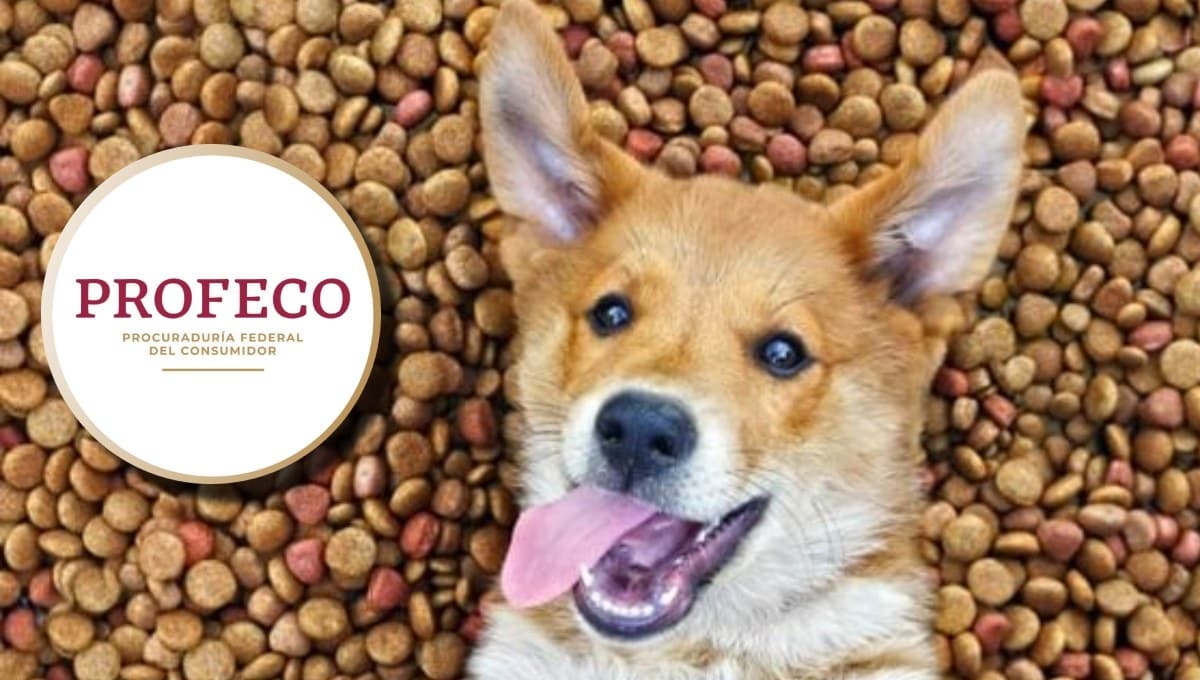 ¿Qué tan buena es la croqueta Nupec para perro adulto según Profeco?