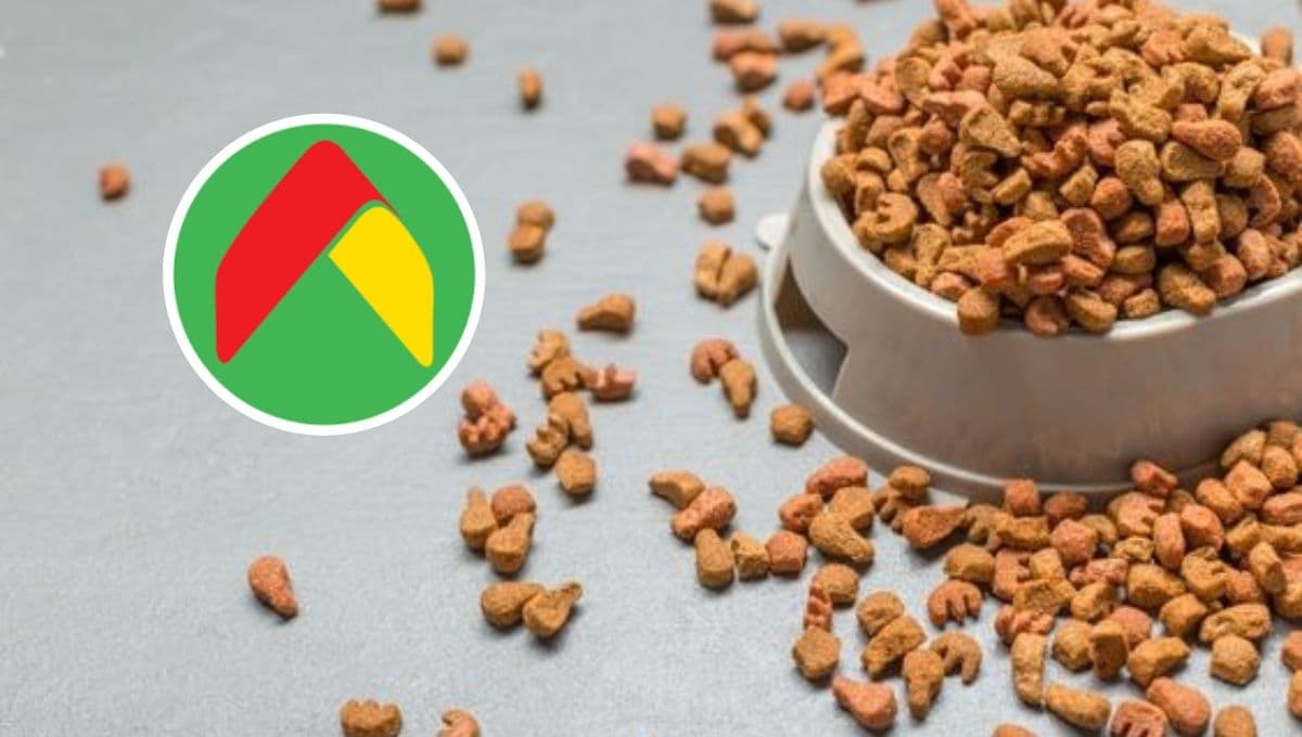 3 croquetas para perro con palomita de la Profeco y descuentazo en Bodega Aurrerá: tienen hasta regalo