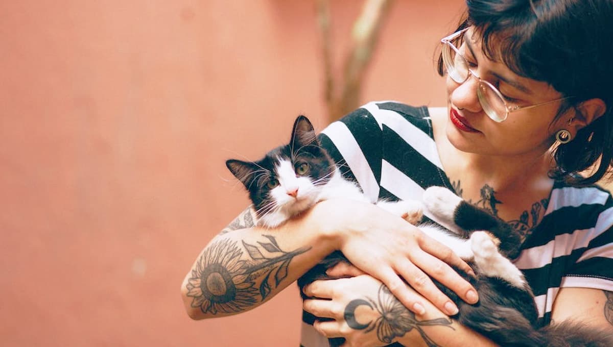 ¿Qué significa que mi gato ronronee en mi pecho?