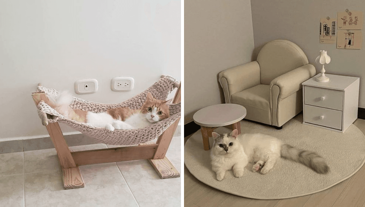 6 diseños sencillos pero elegantes para decorar el espacio del gato en casa
