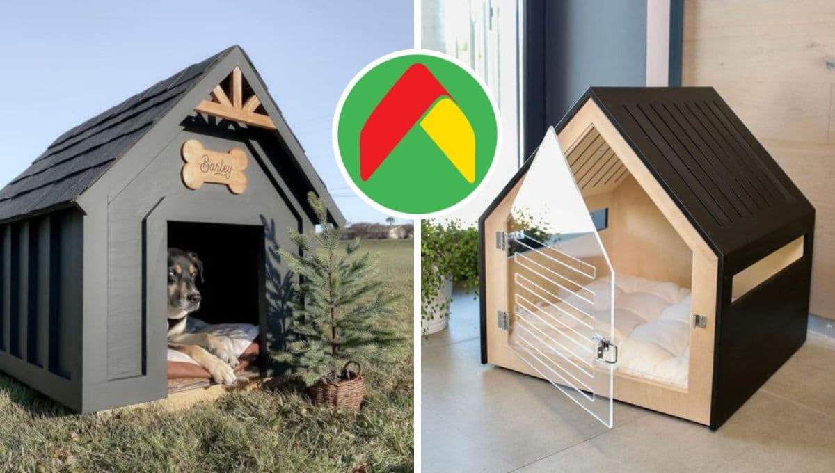 Bodega Aurrerá pone en especial descuento 3 casas para perros: aguantadoras pero bonitas