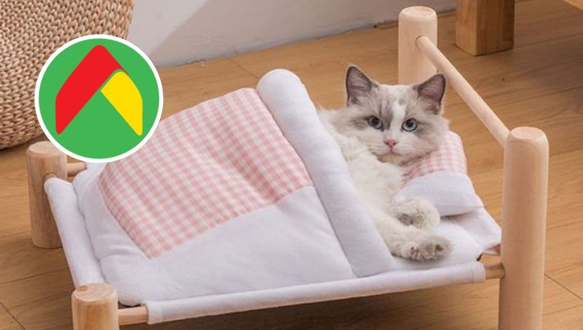 Bodega Aurrerá pone en oferta una bonita cama rascador para gato: aguantadora y práctica