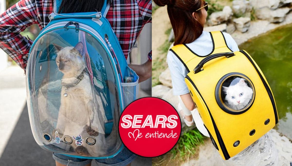 Sears se luce y pone en descuentazo mochila transportadora para gatos: bonita y resistente
