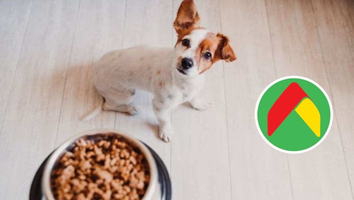 3 costales de croquetas para perro con descuento en Bodega Aurrerá y con palomita de la Profeco