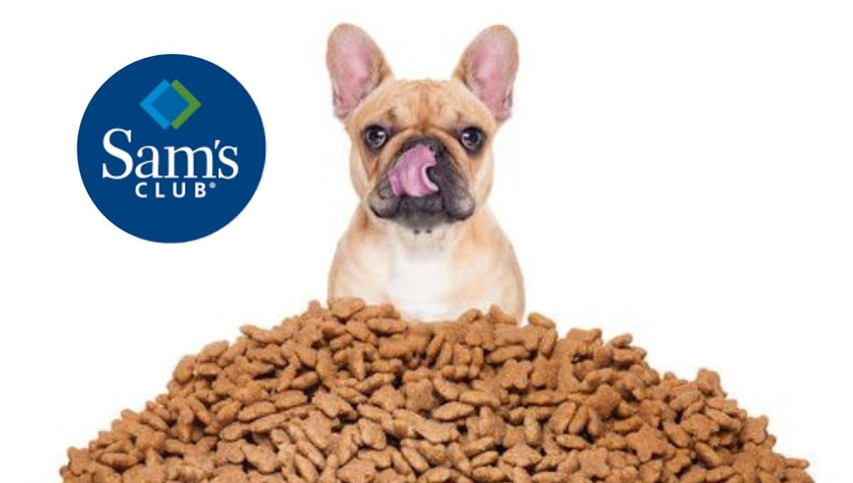 Sam’s pone en oferta el costal de croquetas para perro más bueno y barato aprobado por Profeco