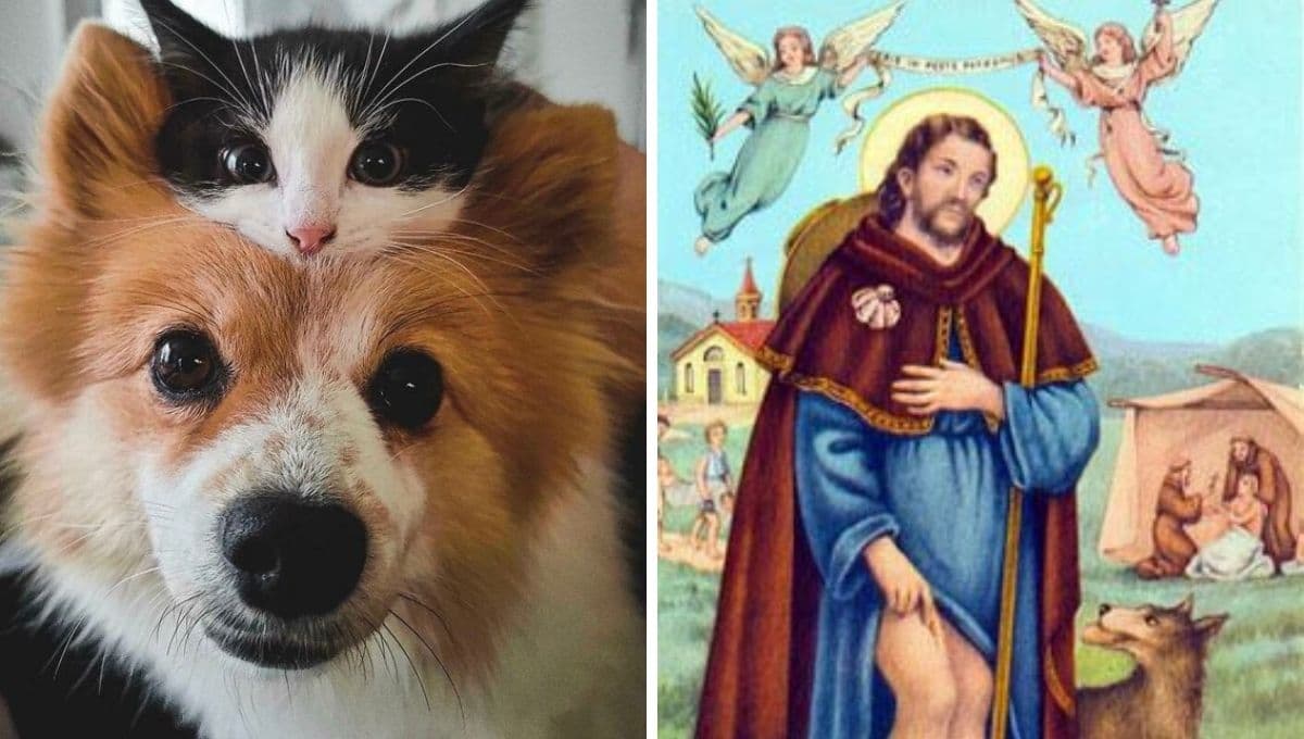 Oración para hacer que aparezca una mascota perdida