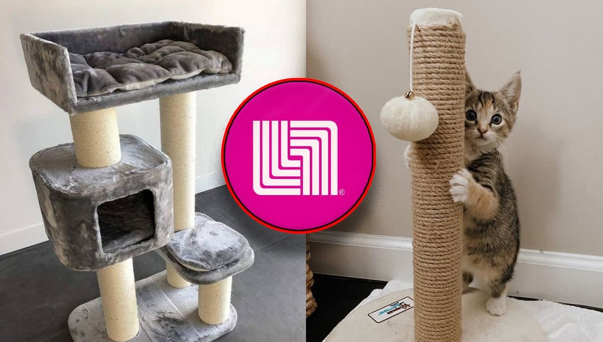 Aprovecha este descuentazo en el mueble rascador para gato más cómodo de Liverpool