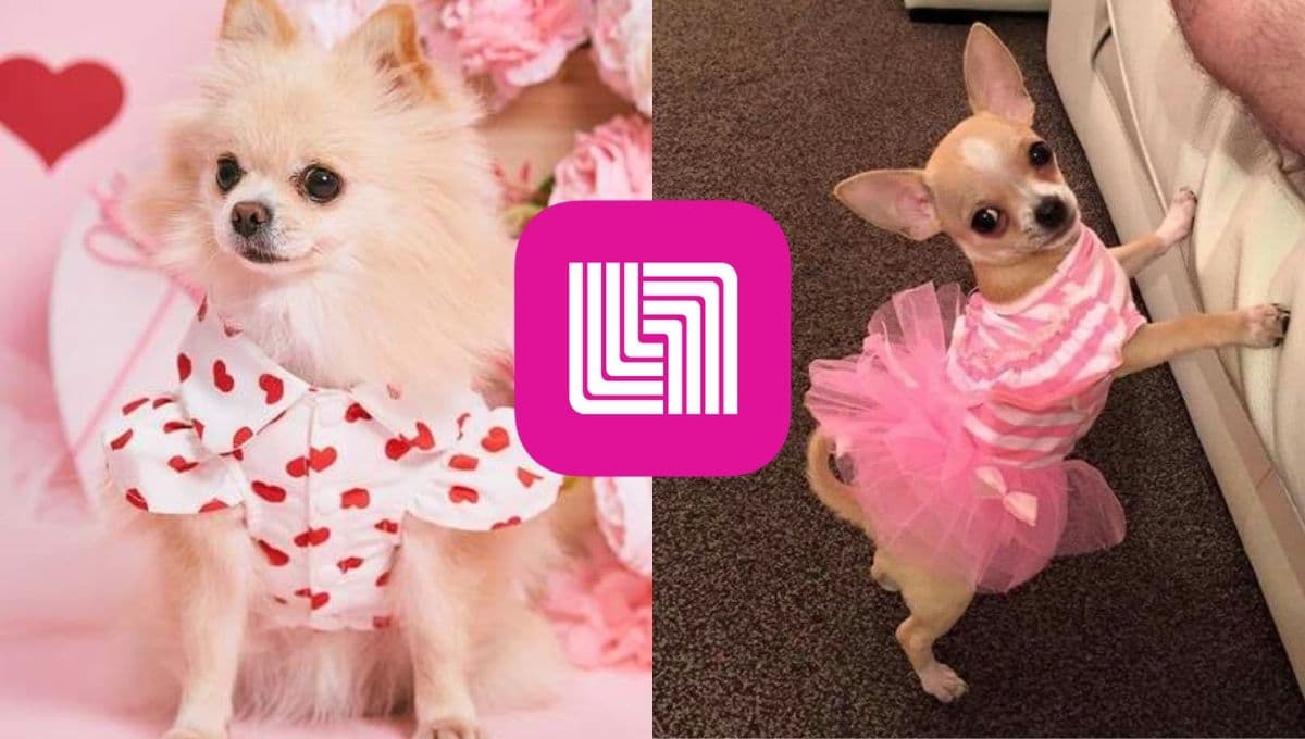 Liverpool remata 3 vestidos coquette para perritas: lindísimos y aguantadores