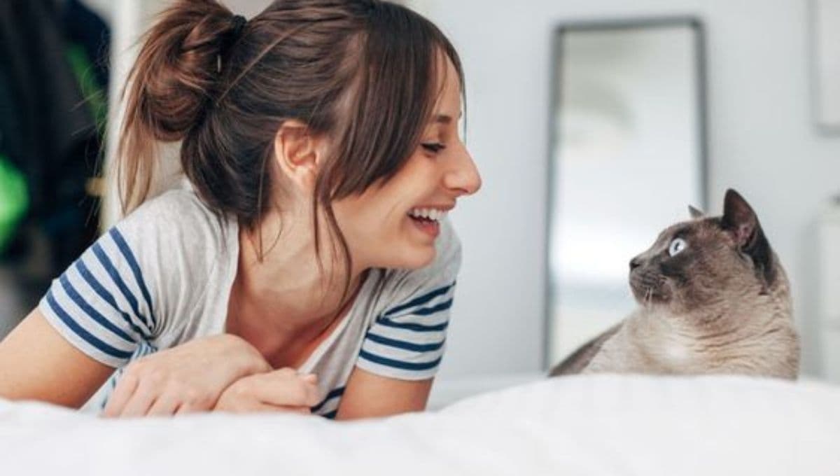 Descubre la edad máxima que pueden vivir los gatos domésticos