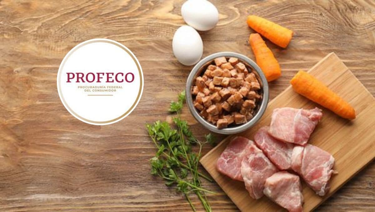 ¿Qué croqueta contiene más proteína? Profeco da el top 7 para perro