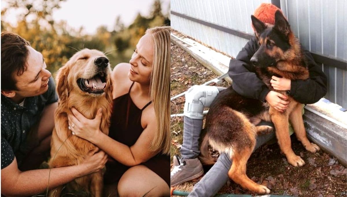 Las razas de perros más leales y fieles según la Inteligencia Artificial