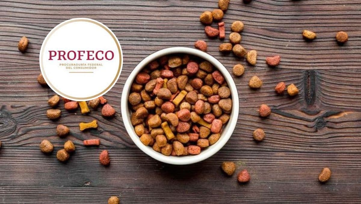 ¿Qué tan buena es la Purina Pro Plan para gatos y qué tanta proteína tiene según Profeco?
