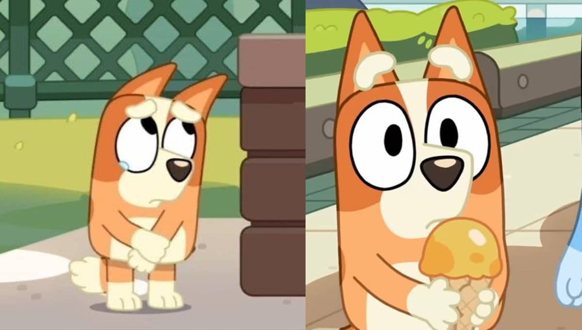 Esta es la extraña enfermedad tiene Bingo de Bluey