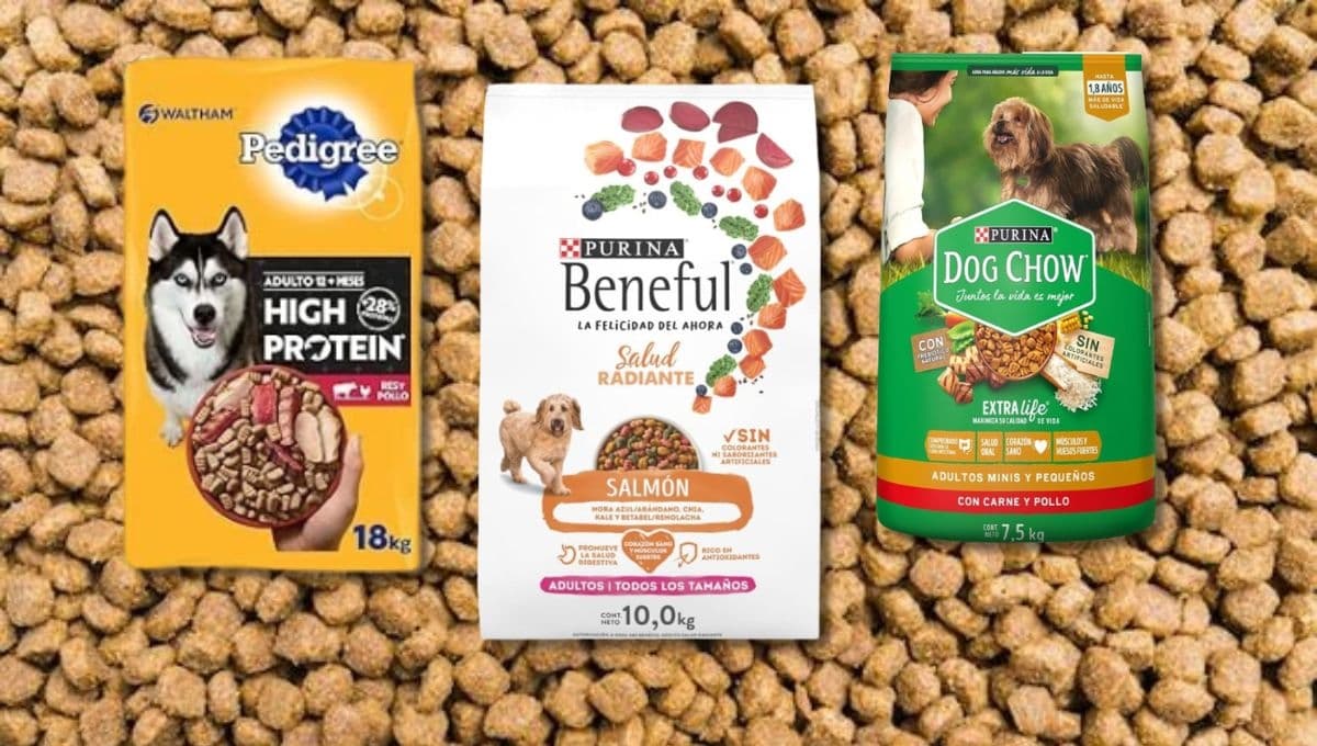 Costal de croquetas Pedigree alto en proteína, Beneful y Dog Chow con oferta hasta del 41%