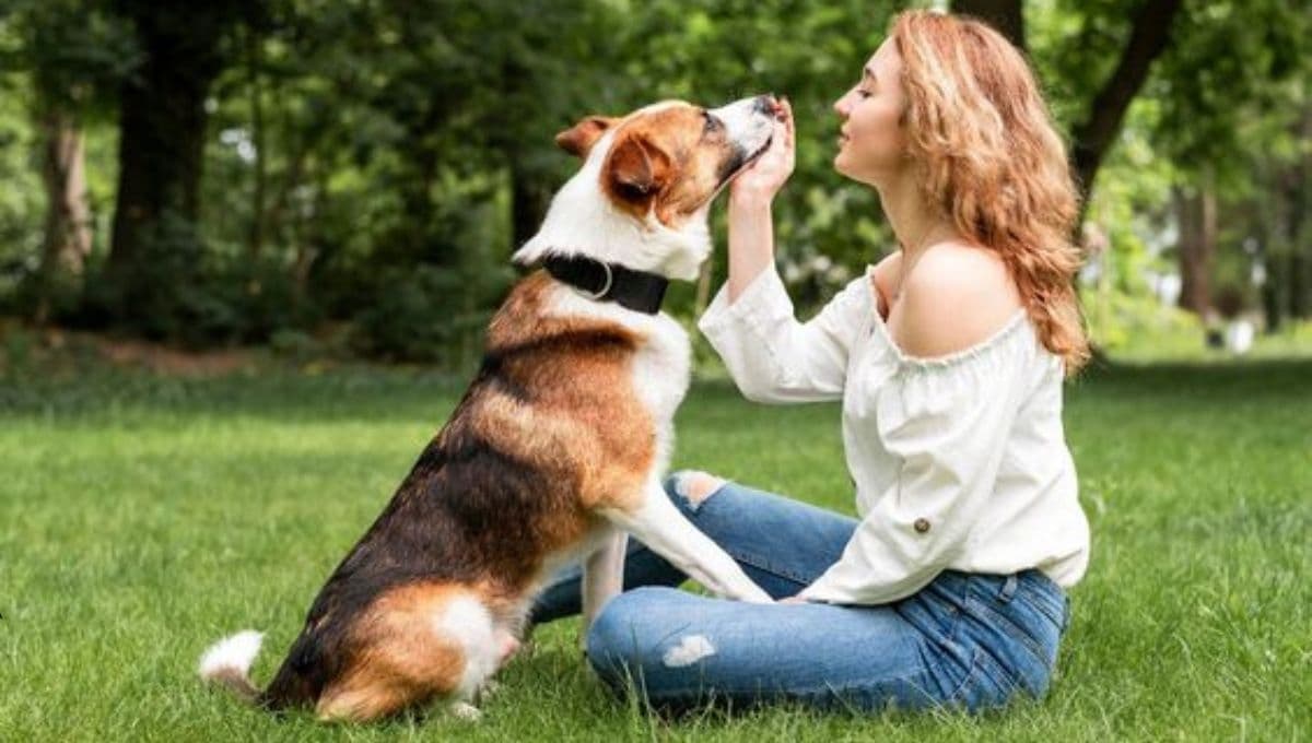 5 claves para que tu perrito viva más años contigo y sean muy felices