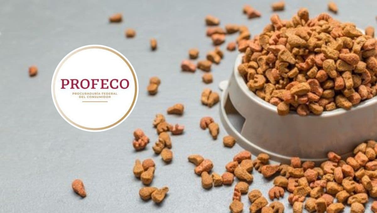 Top 5 de las croquetas para perro más baratas pero con palomita de la Profeco