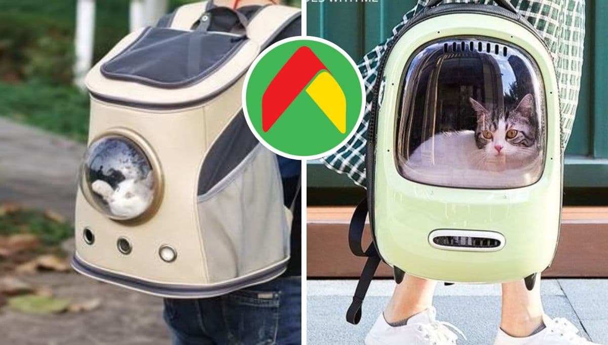 Bodega Aurrerá pone en descuentazo cómoda transportadora para mascota: acolchadita y bonita