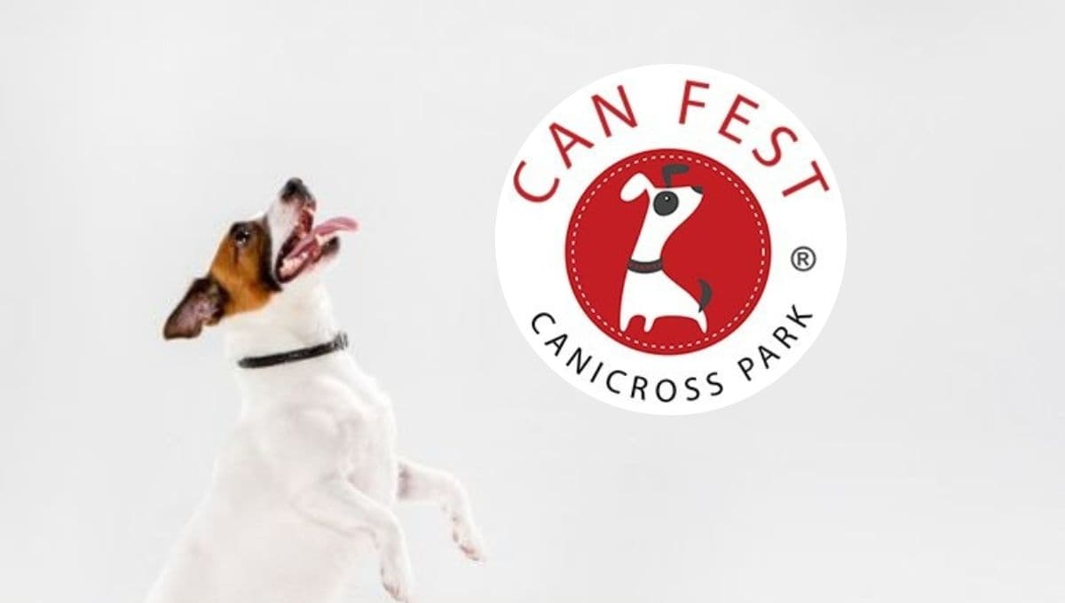 Can Fest 2024: ¿cuándo y dónde esterilizar o vacunar GRATIS a perros y gatos en la CDMX?