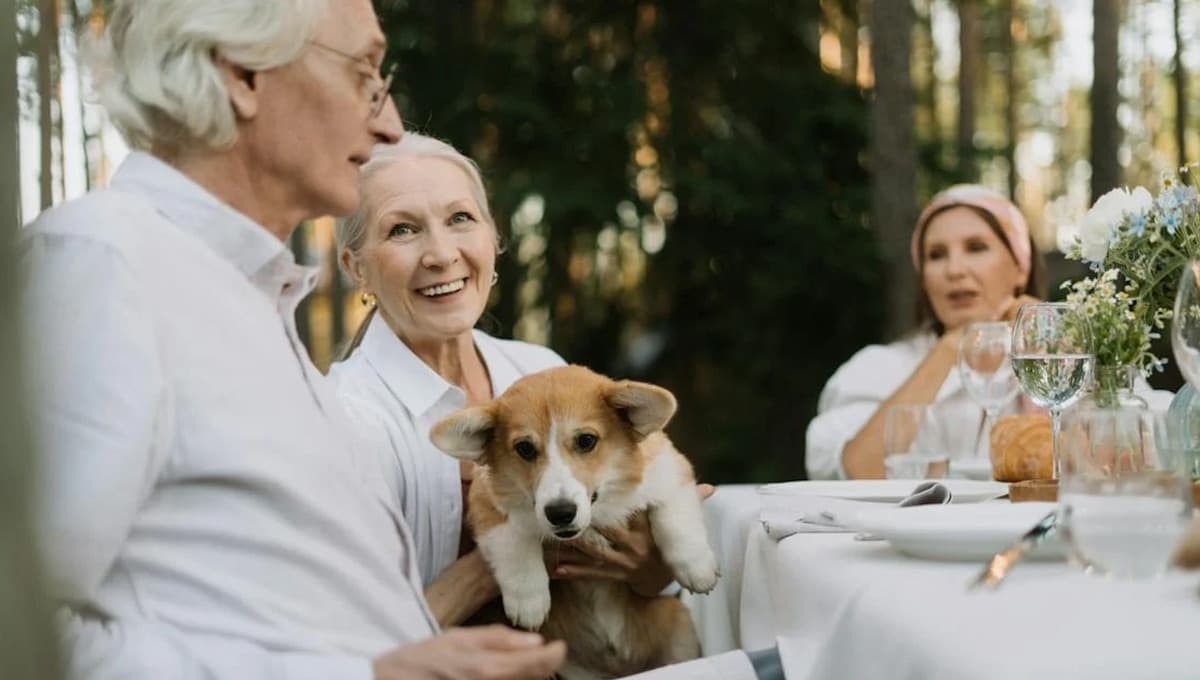 Mascotas: la ciencia revela que tener perros es bueno para la salud de adultos mayores