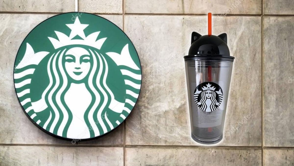 3 vasos de gatitos preciosos de Starbucks: precio y dónde comprar en México