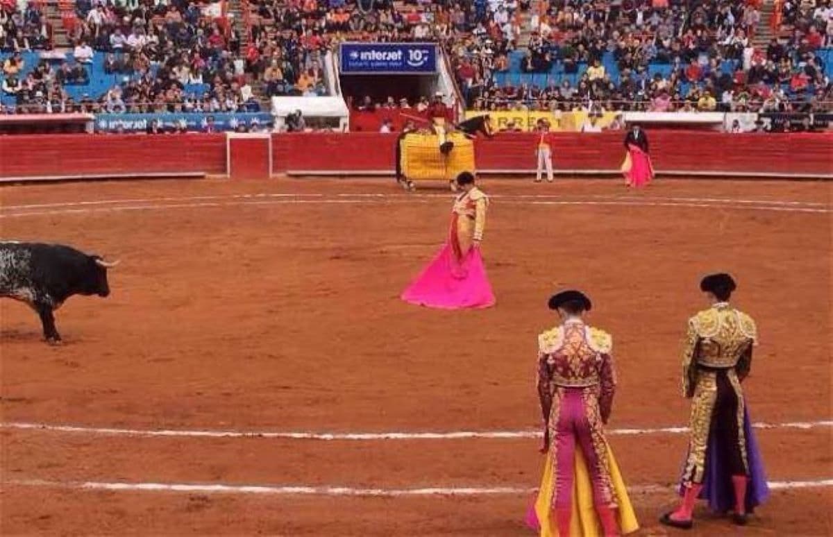Regresan (otra vez) las corridas de toros a la Plaza México: ¿hasta cuándo se van a permitir?