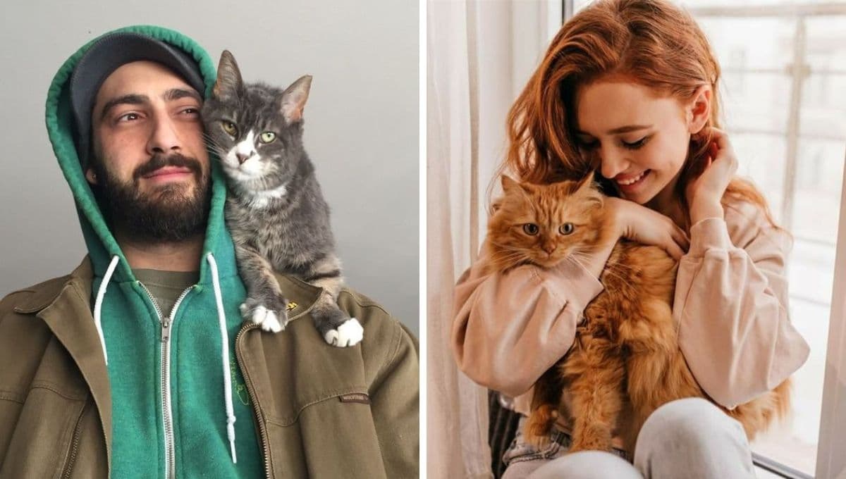 Descubre si eres el tipo de persona que NO le agrada a los gatos
