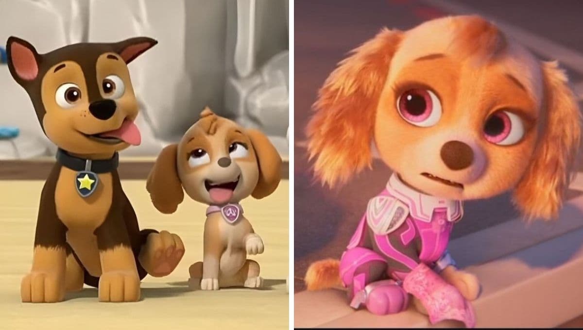 MEMES de Skye de Paw Patrol para compartir en WhatsApp: bonitos y divertidos