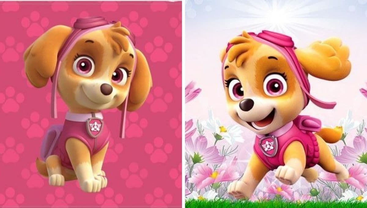 Skye de Paw Patrol: fondos de pantalla preciosos de la perrita más bonita