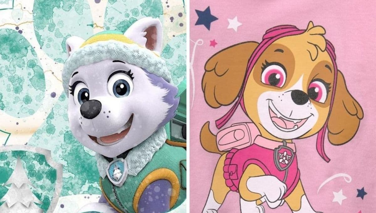 Fondos de pantalla preciosos de Paw Patrol para el 14 de febrero: Skye y Everest de San Valentín