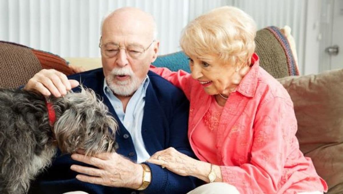 Beneficios poco conocidos de adoptar perros para los abuelitos