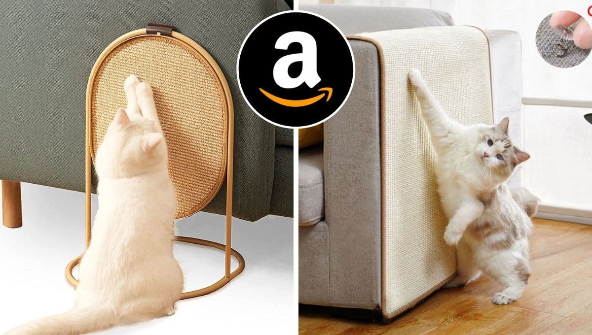 Top rascadores para gatos mejor valorados en Amazon y que puedes comprar en menos de 350 pesos