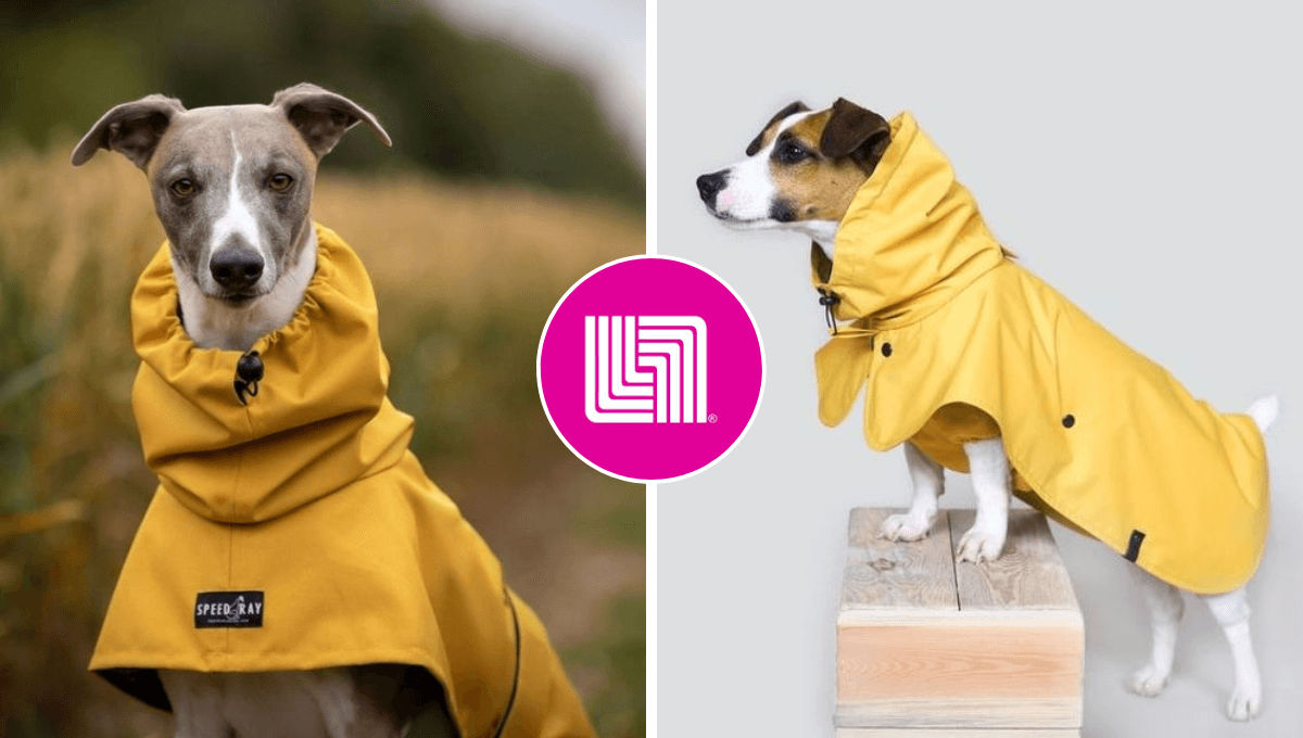 Liverpool REMATA capa para perro Zoopet perfecta para proteger a tu Schnauzer mini de la lluvia