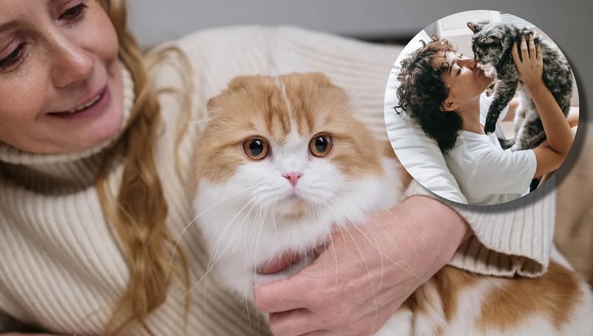 El oscuro motivo por el que se llama Karen a los dueños de gatos