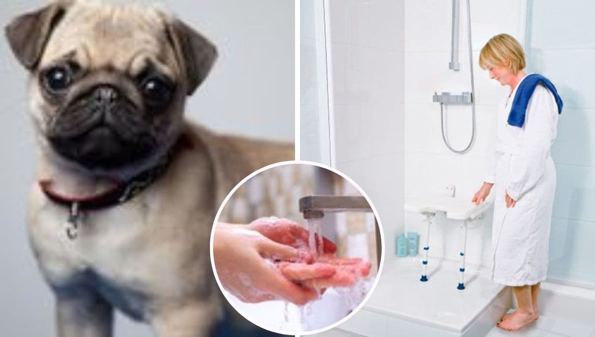 ¿Por qué mi perro me acompaña al baño?