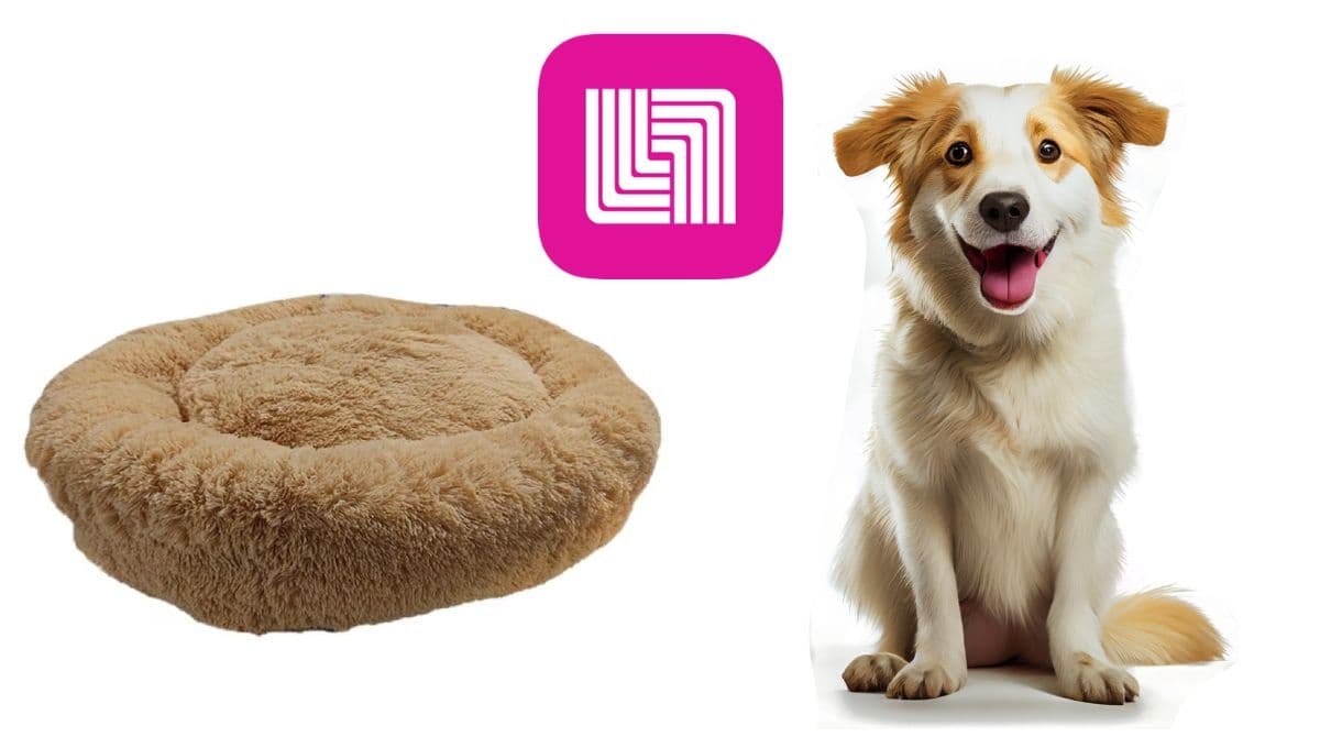 Liverpool tiene la mejor cama antiestrés para perro a precio casi regalado