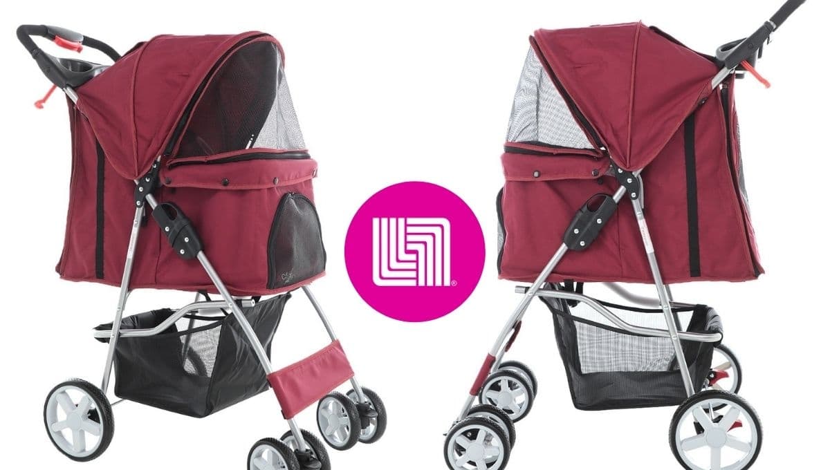 Liverpool REMATA esta carriola para perro Zoopet ideal para pasear Schnauzer mini