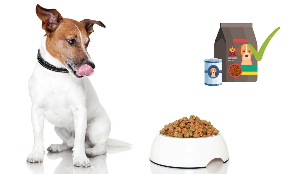 ¿Qué debe tener un alimento de perro para que sea bueno según los expertos?