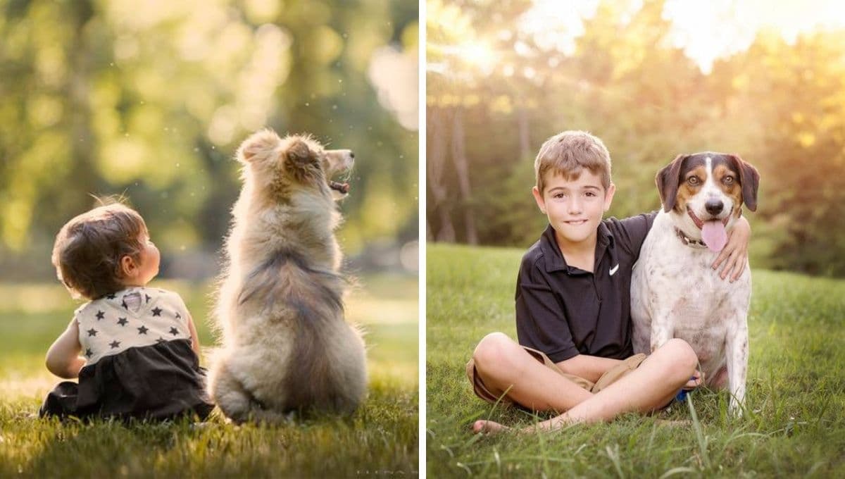 Top mejores perros grandes para convivir con niños en la casa