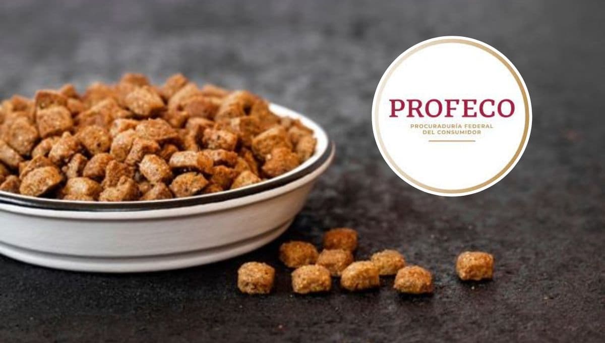 Top 3 marcas de croquetas económicas y poco conocidas pero buenas según Profeco