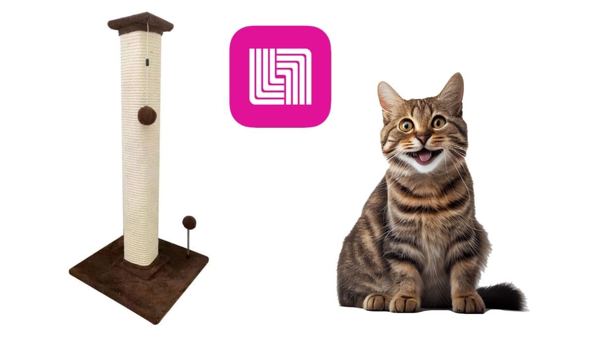 Liverpool REMATA hermoso rascador para gato: descuento de más de mil pesos
