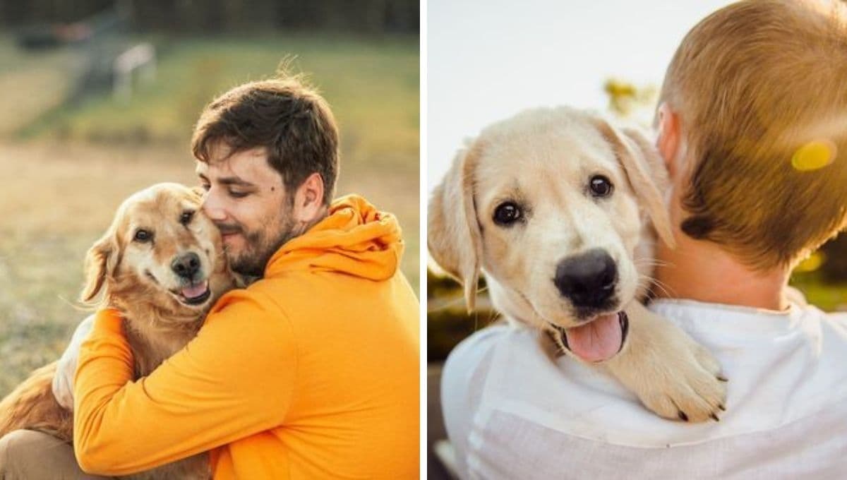 Top razas de perros fieles: estarán contigo hasta la muerte