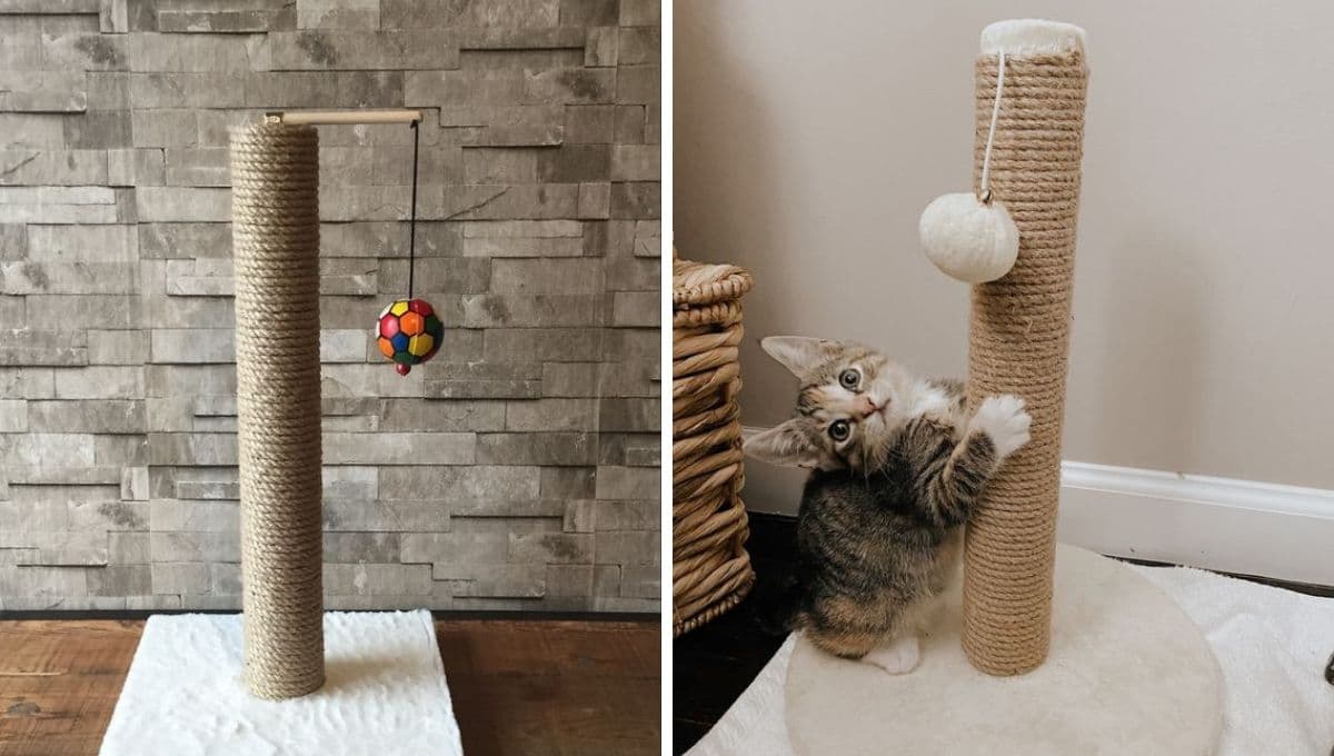 Rascador para gatos con material reciclado: tutorial económico y ecológico