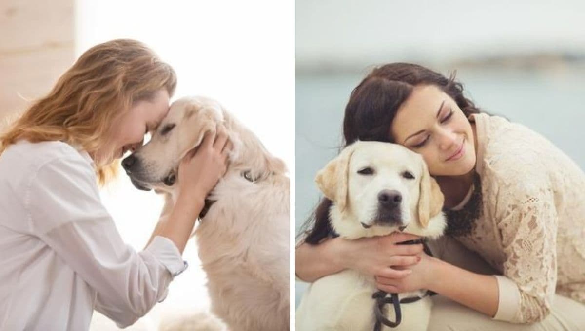 Top 5 mejores razas de perros para gente con ansiedad