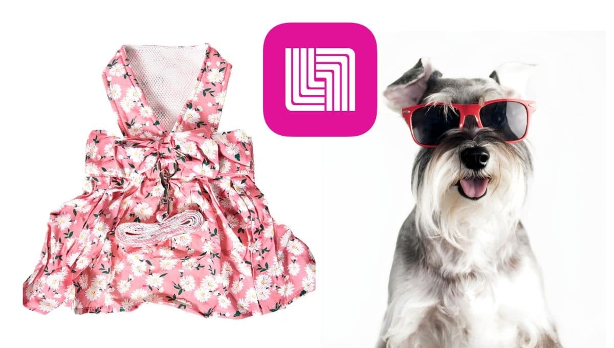 Liverpool REMATA 3 vestidos para perro Zoopet: ideales para Schnauzers en primavera